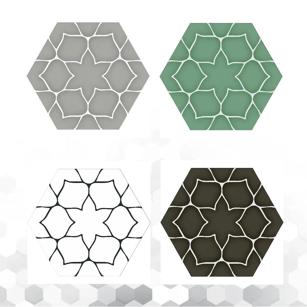 Echantillon de Carrelage hexagonal Kerala