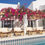 Miniature : Carrelage-effet-carreaux-de-ciment-Marlow-Elvissa-11,5x11,5-cm-de-Nanda-Tiles