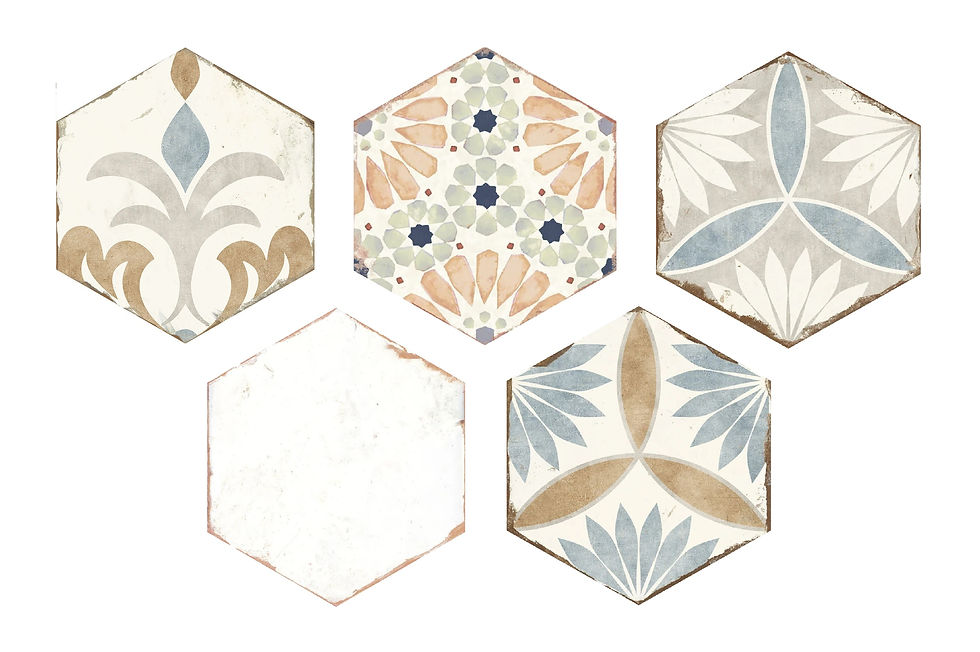 Echantillon de Carrelage Hexagonal effet Carreaux de Ciment Bohemia