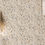 Miniature : Carrelage-Hexagonal-Effet-Terrazzo-Hex-Gobi-Nude-de-Prissmacer