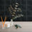 Miniature : Carrelage effet carreaux de ciment Marlow Black Oasis 11,5x11,5 cm Nanda Tiles